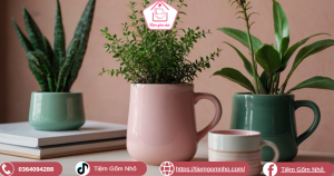 Các ý tưởng gốm sứ trang trí bàn làm việc phổ biến