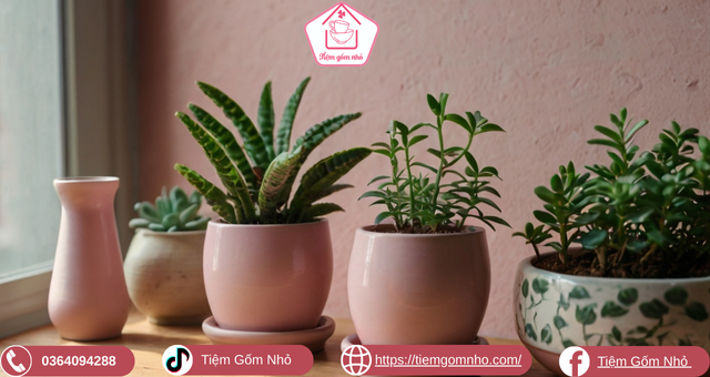 Chậu cây gốm sứ dễ thương để bàn